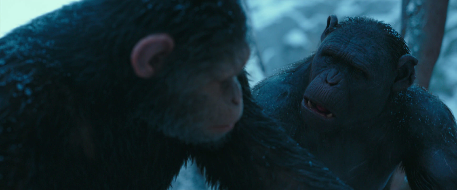 War for the Planet of the Apes (2017) screencap 6804