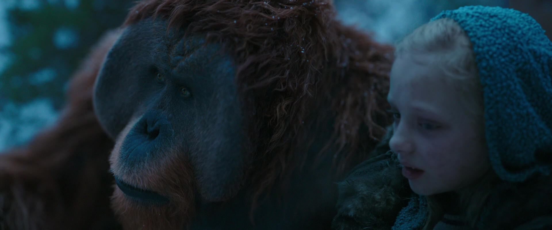 War for the Planet of the Apes (2017) movie still 6805