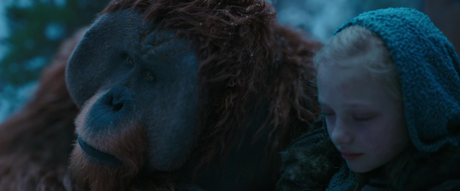 War for the Planet of the Apes (2017) movie still 6808