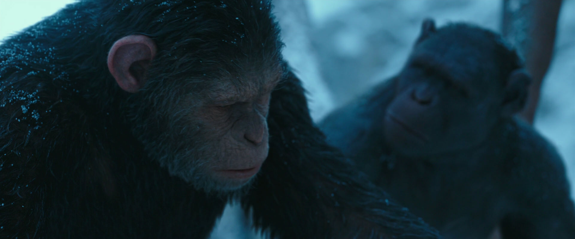 War for the Planet of the Apes (2017) HD screenshot 6809