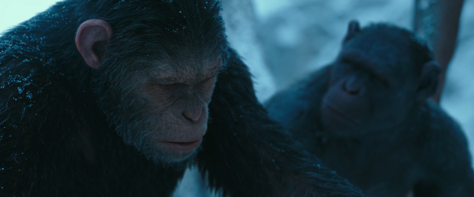 War for the Planet of the Apes (2017) screencap 6810