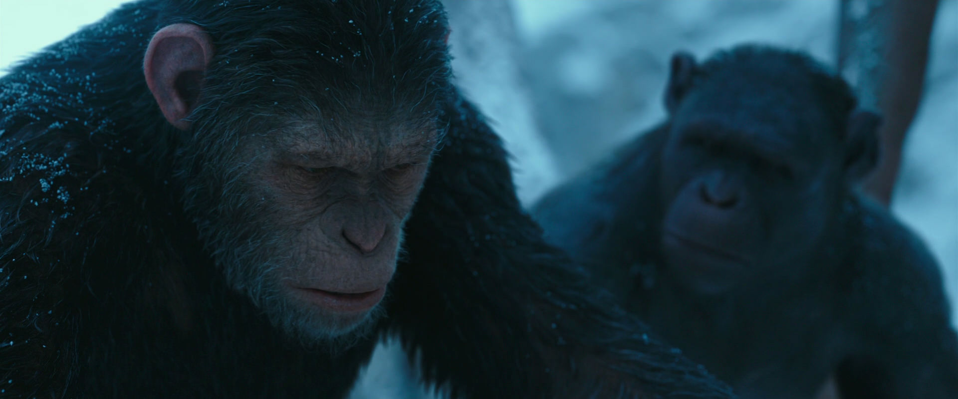 War for the Planet of the Apes (2017) movie still 6811