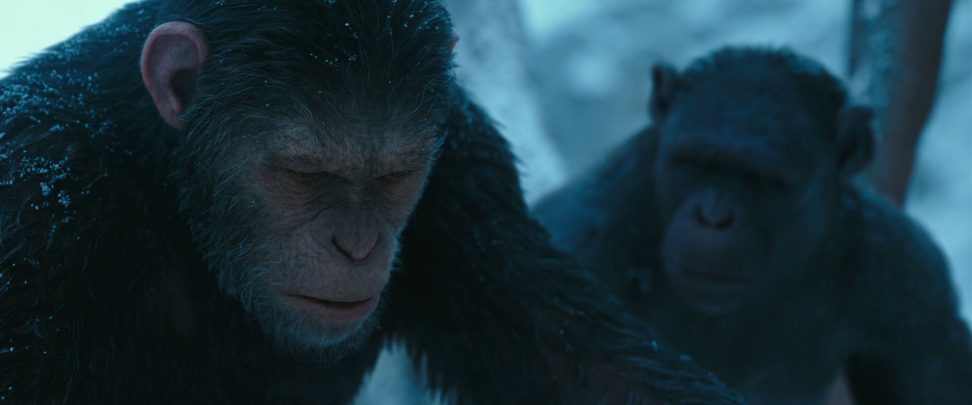 War for the Planet of the Apes (2017) HD screenshot 6812