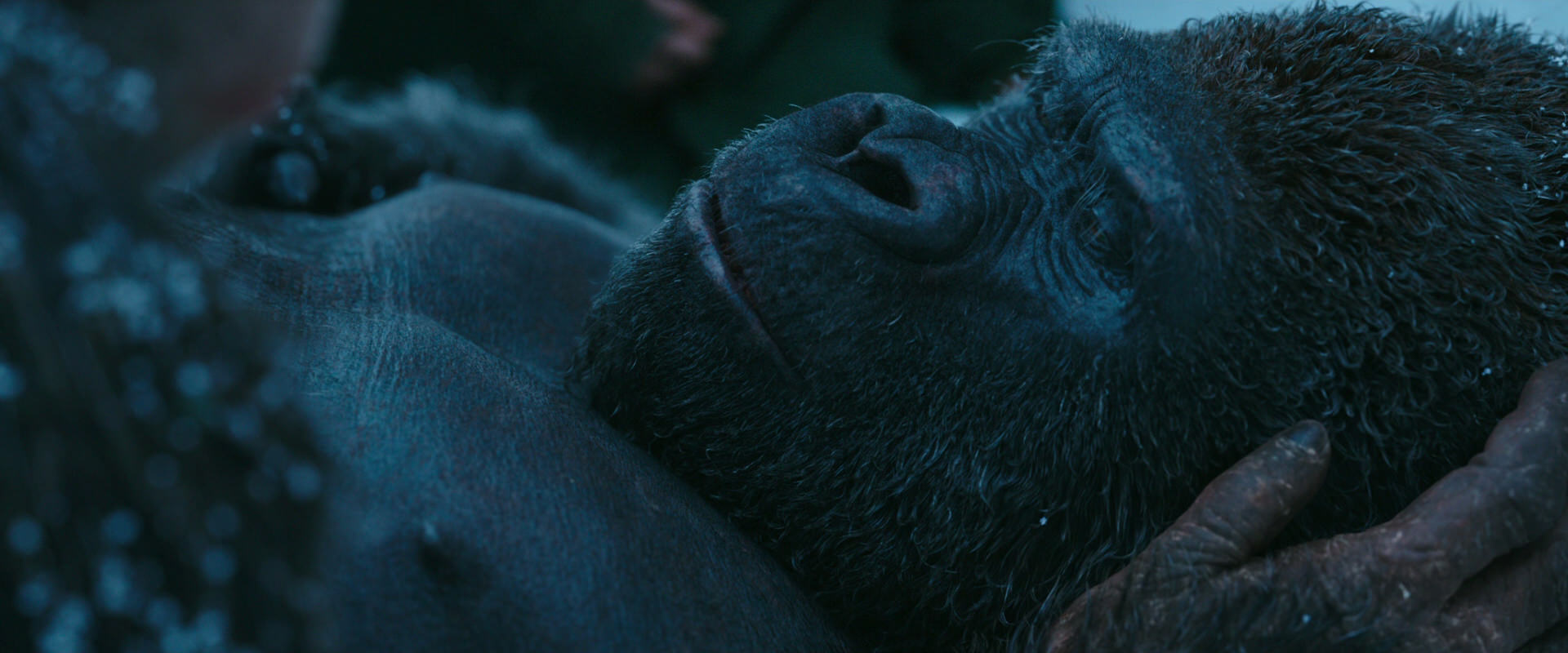 War for the Planet of the Apes (2017) screencap 6813