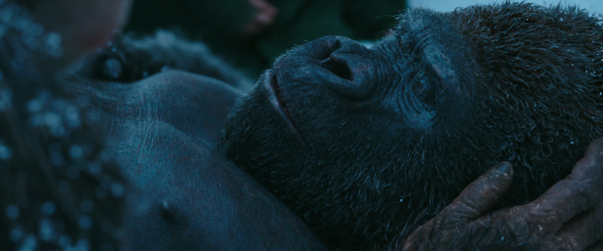 War for the Planet of the Apes (2017) movie still 6814