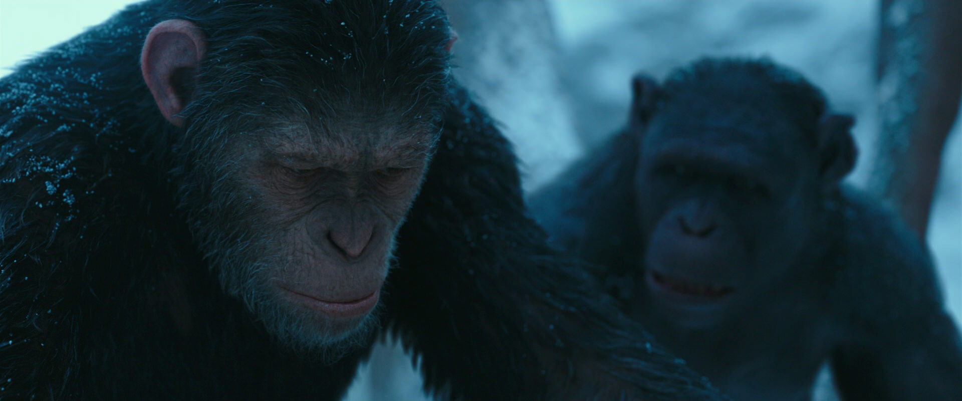 War for the Planet of the Apes (2017) HD screenshot 6818