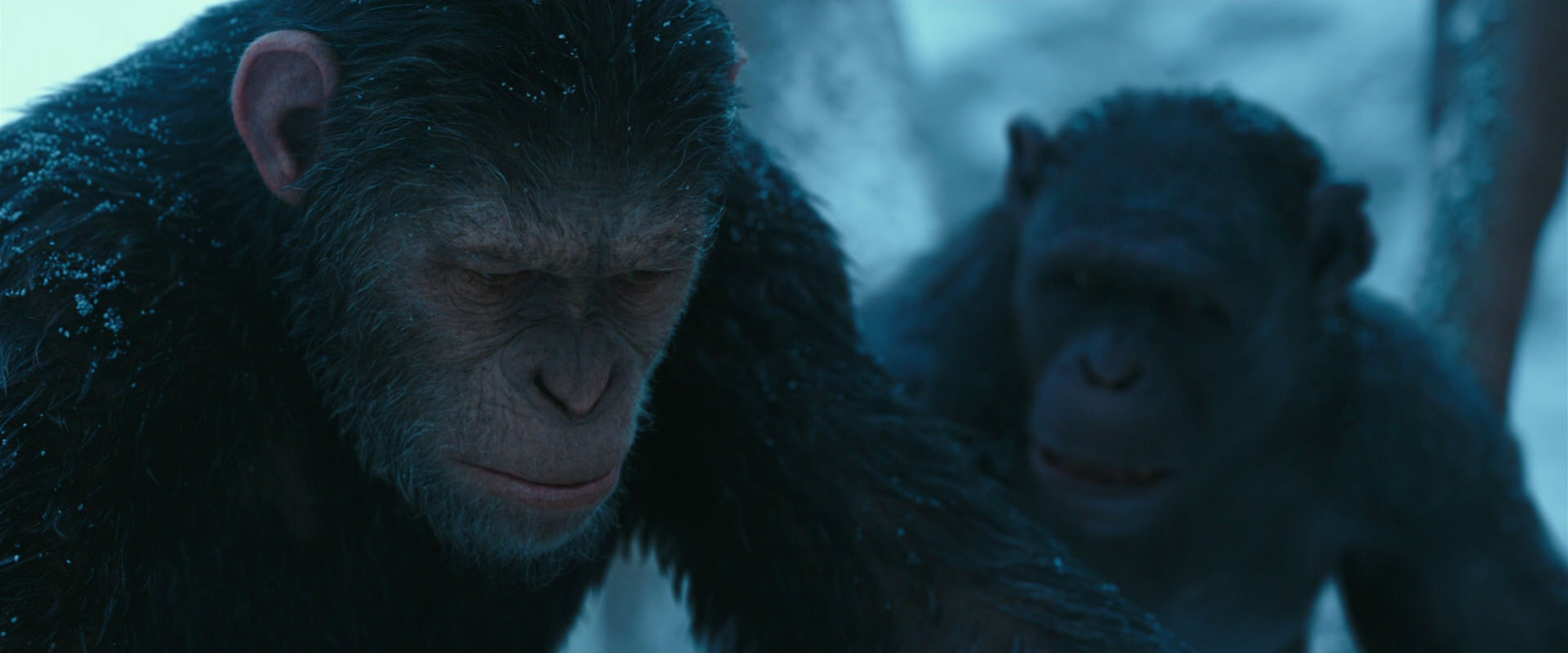 War for the Planet of the Apes (2017) screencap 6819