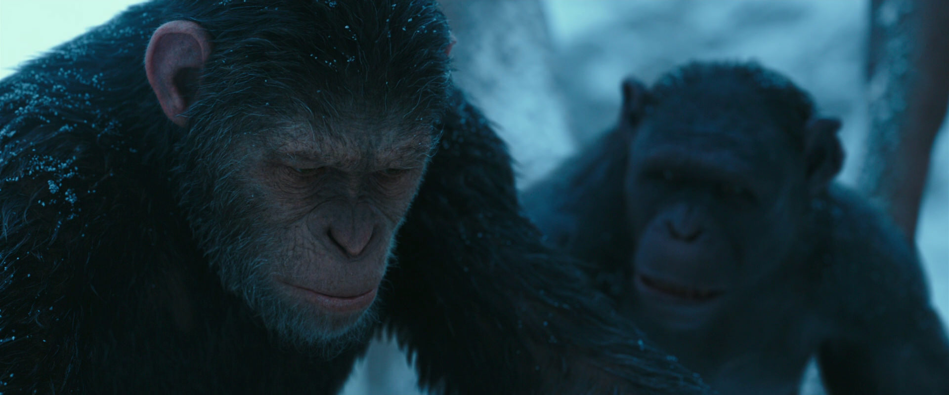War for the Planet of the Apes (2017) screencap 6822
