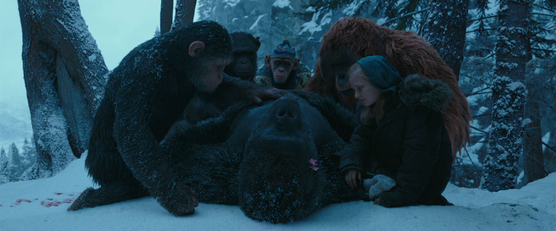 War for the Planet of the Apes (2017) HD screenshot 6824