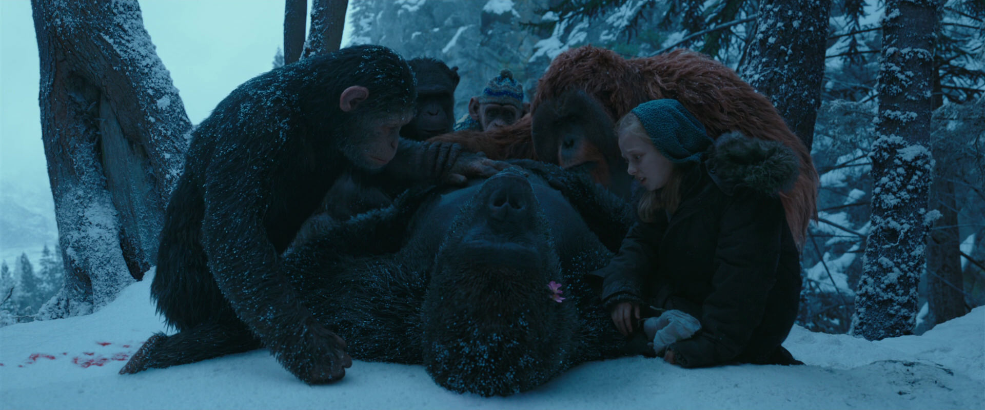 War for the Planet of the Apes (2017) HD screenshot 6827