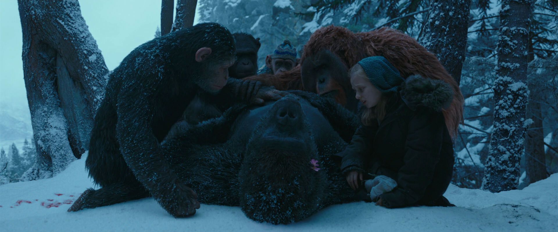 War for the Planet of the Apes (2017) screencap 6828