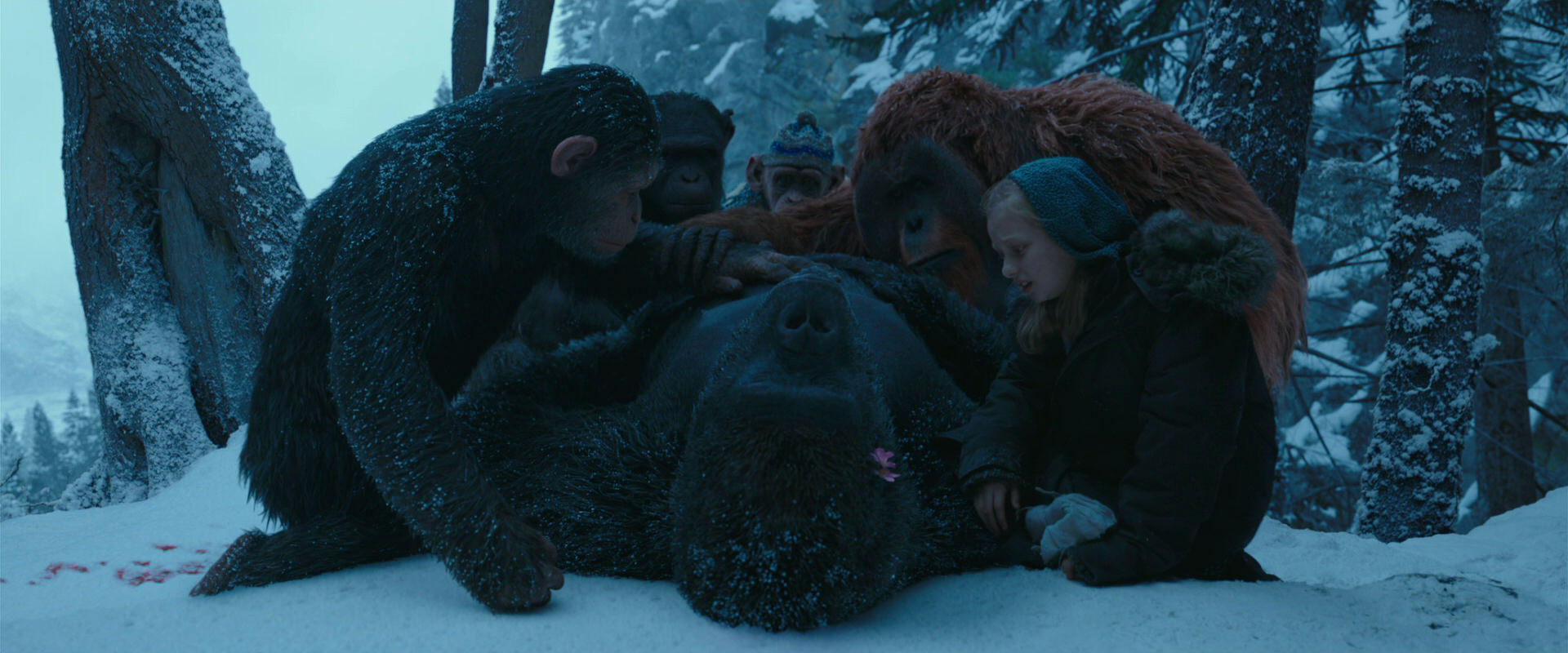 War for the Planet of the Apes (2017) HD screenshot 6830