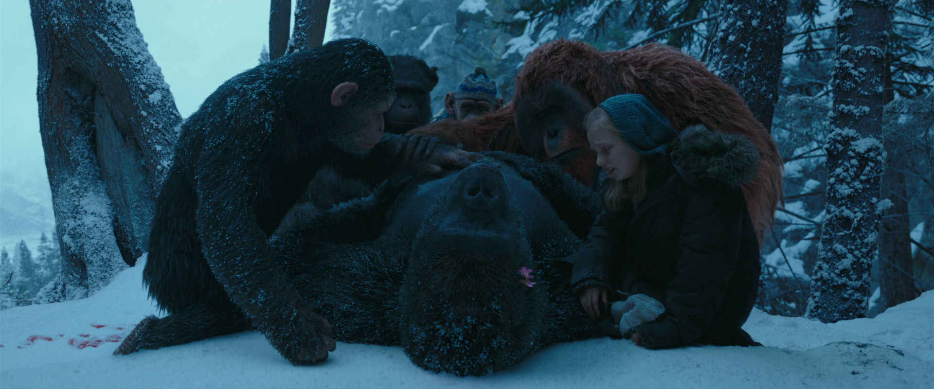 War for the Planet of the Apes (2017) screencap 6831