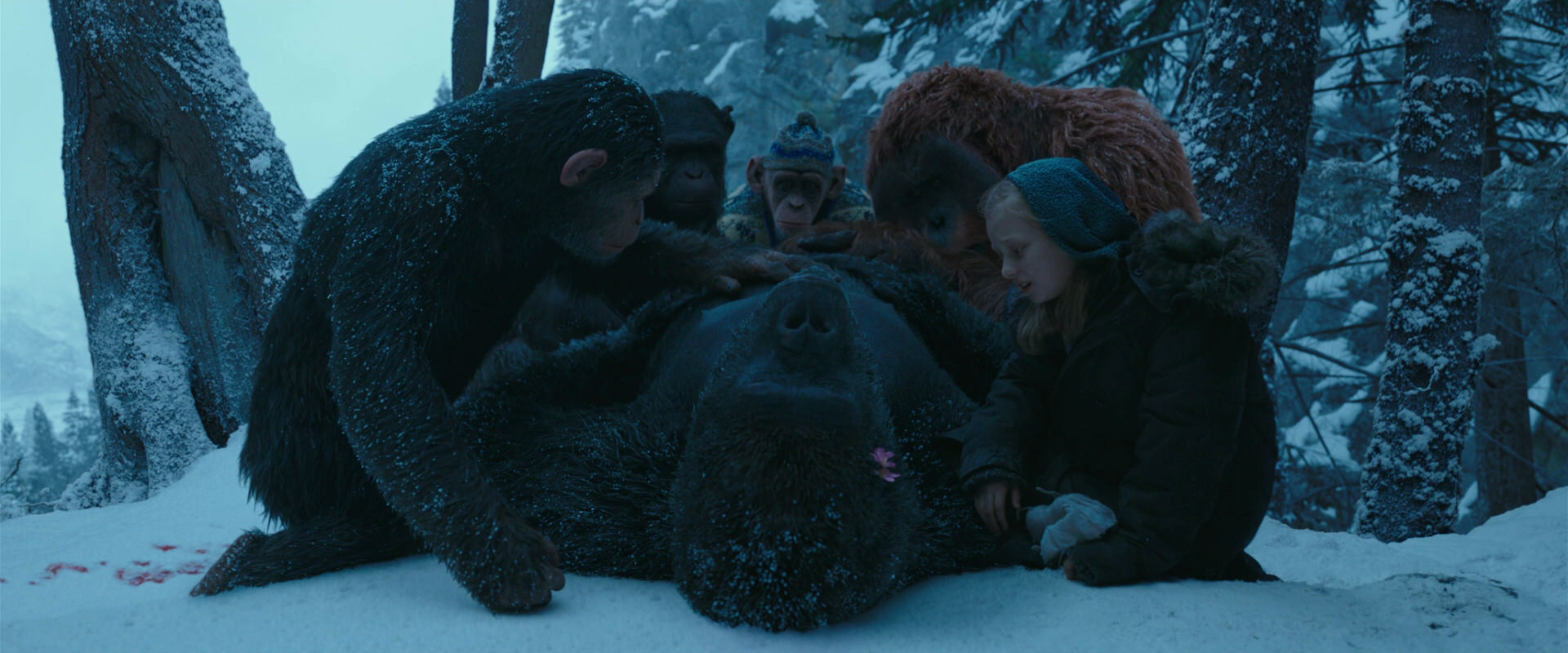 War for the Planet of the Apes (2017) screencap 6837