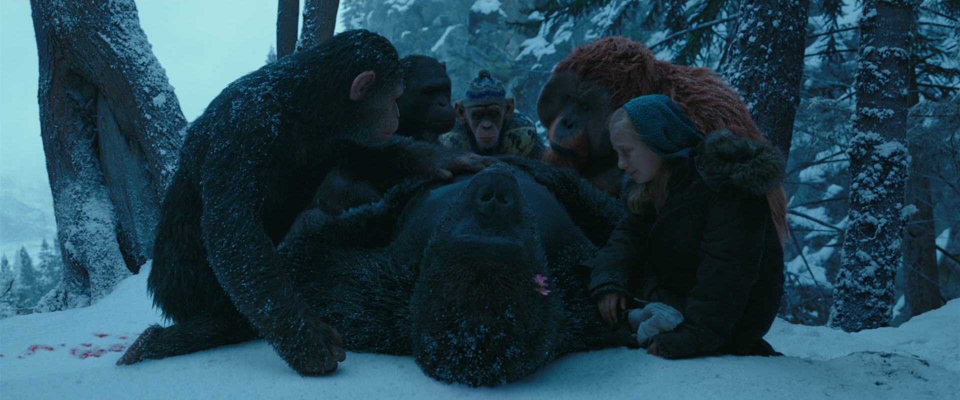 War for the Planet of the Apes (2017) screencap 6843