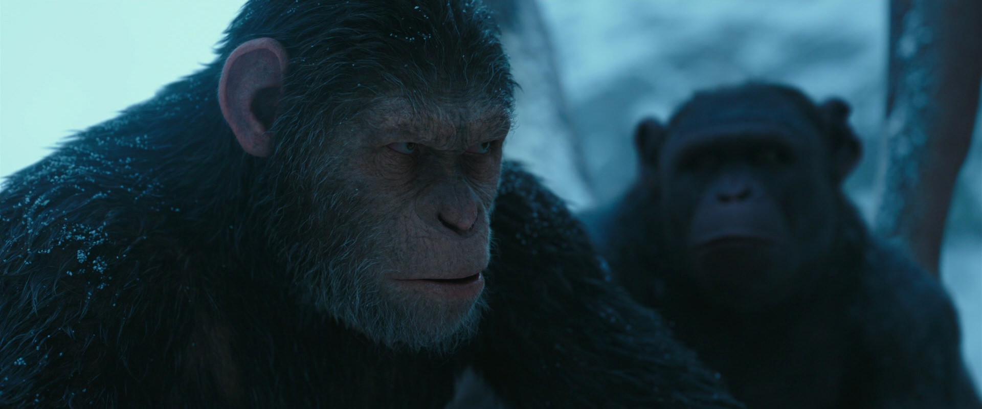 War for the Planet of the Apes (2017) movie still 6847