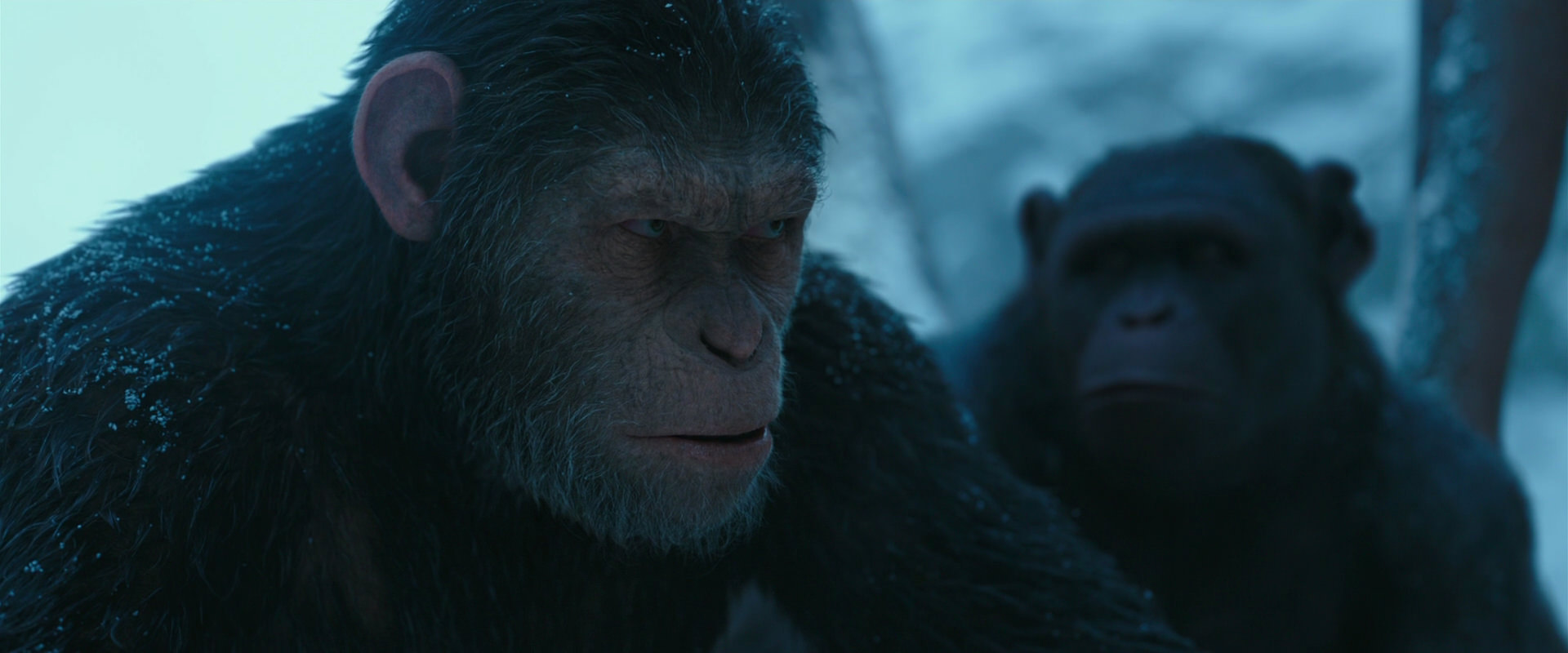 War for the Planet of the Apes (2017) HD screenshot 6848