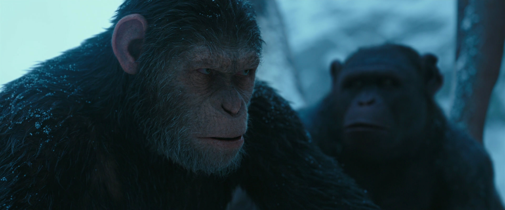 War for the Planet of the Apes (2017) screencap 6849