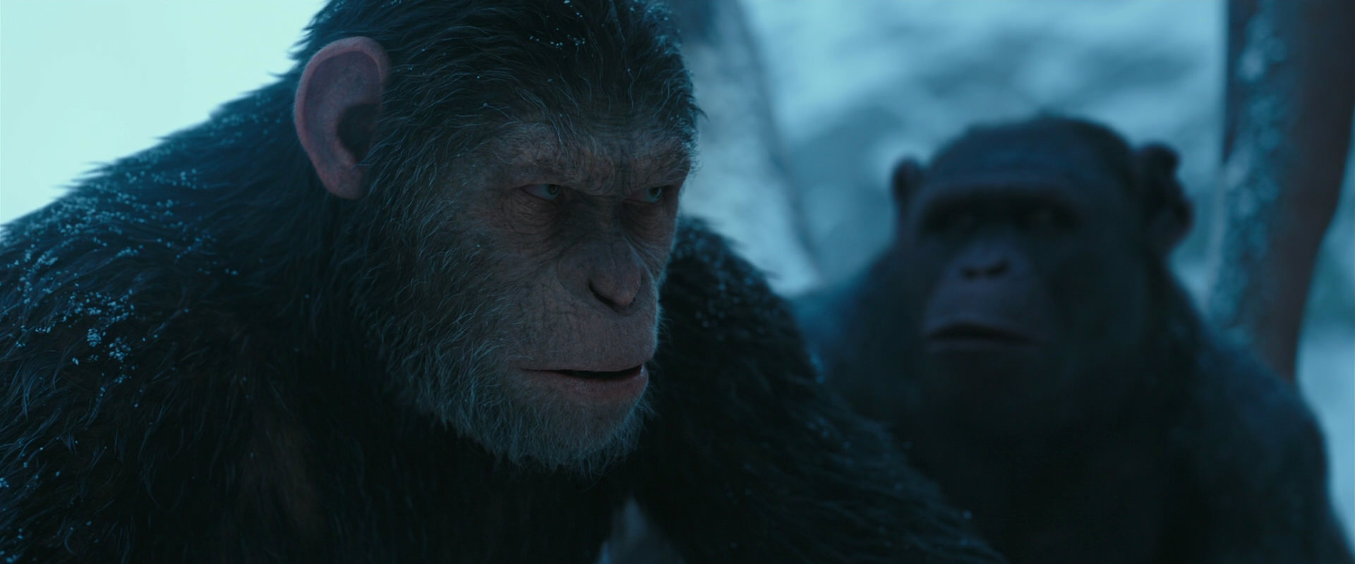 War for the Planet of the Apes (2017) movie still 6850