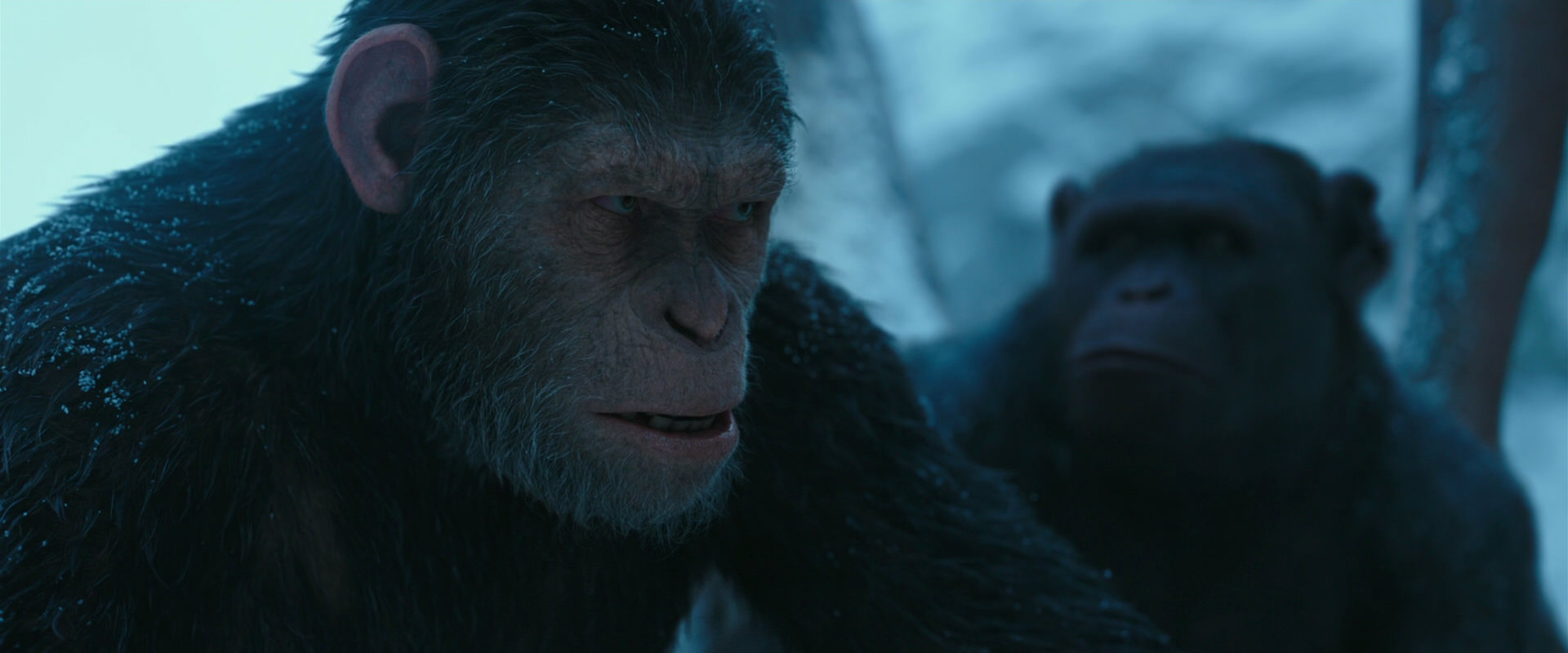 War for the Planet of the Apes (2017) screencap 6852