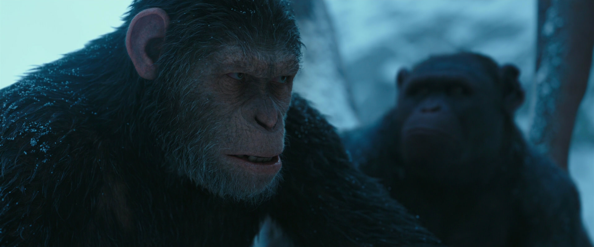 War for the Planet of the Apes (2017) movie still 6853