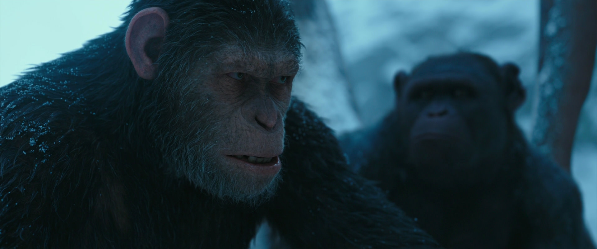 War for the Planet of the Apes (2017) HD screenshot 6854