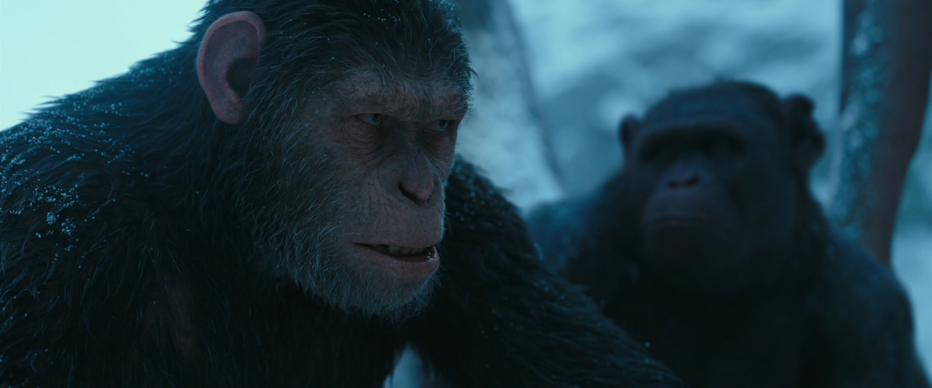 War for the Planet of the Apes (2017) screencap 6855