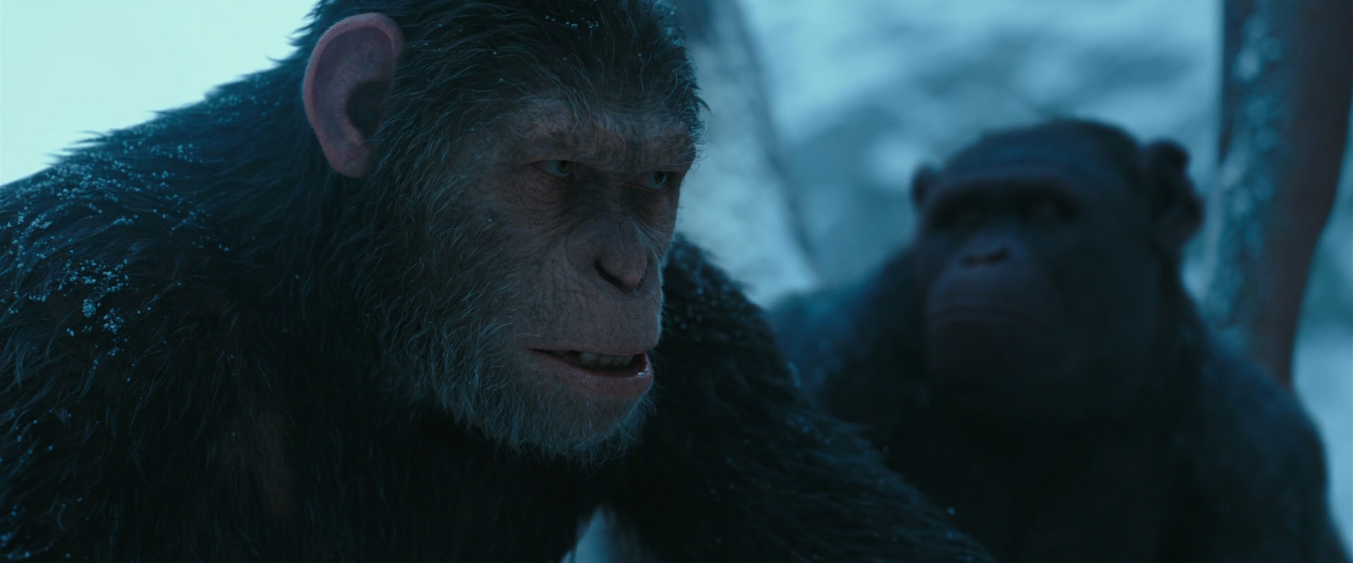 War for the Planet of the Apes (2017) movie still 6856