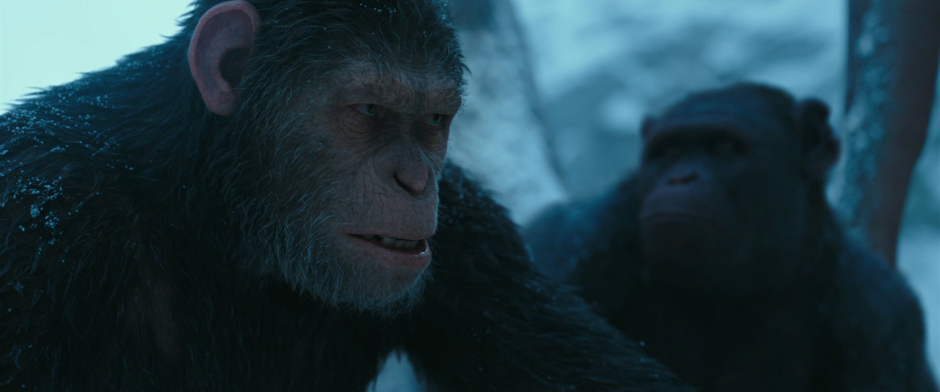 War for the Planet of the Apes (2017) HD screenshot 6857