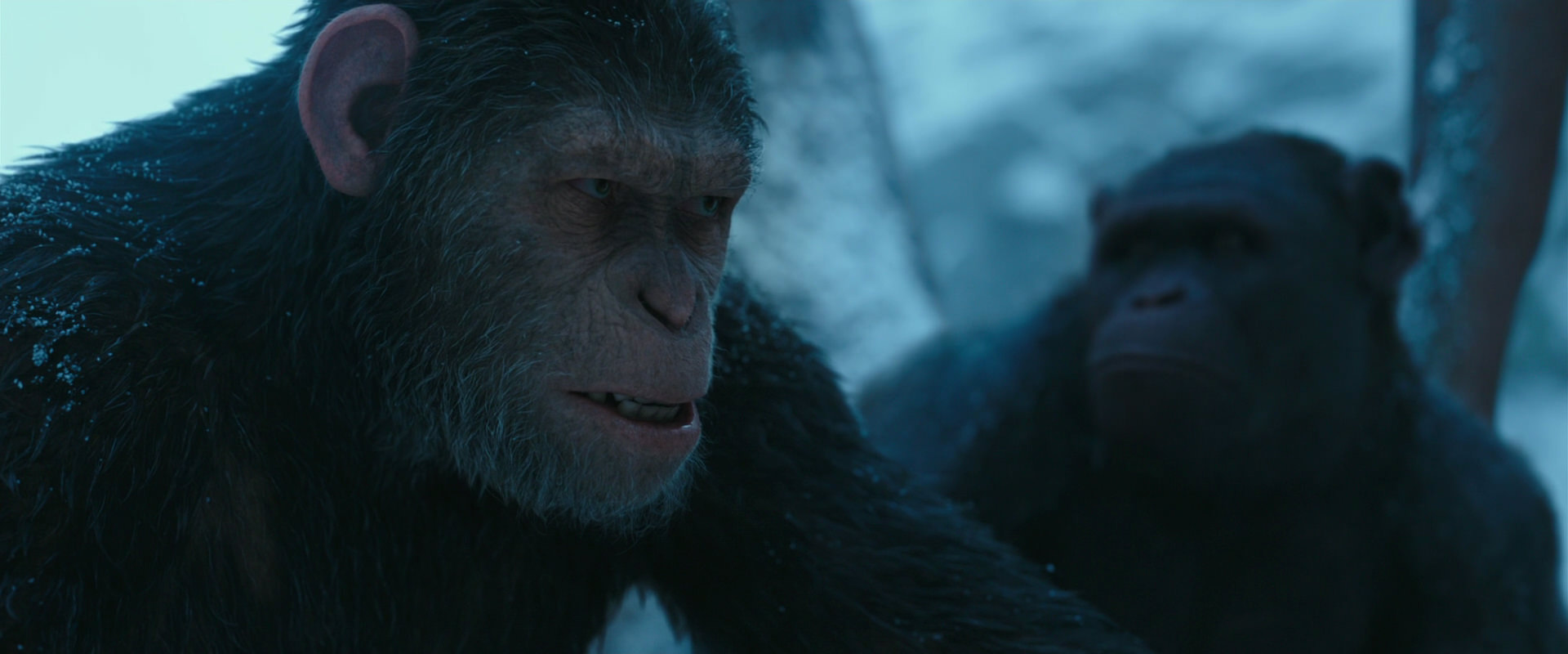 War for the Planet of the Apes (2017) screencap 6858