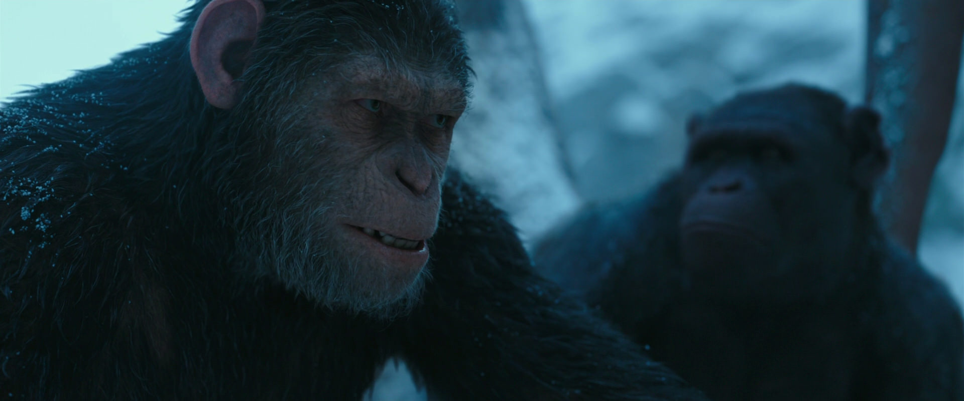 War for the Planet of the Apes (2017) movie still 6859