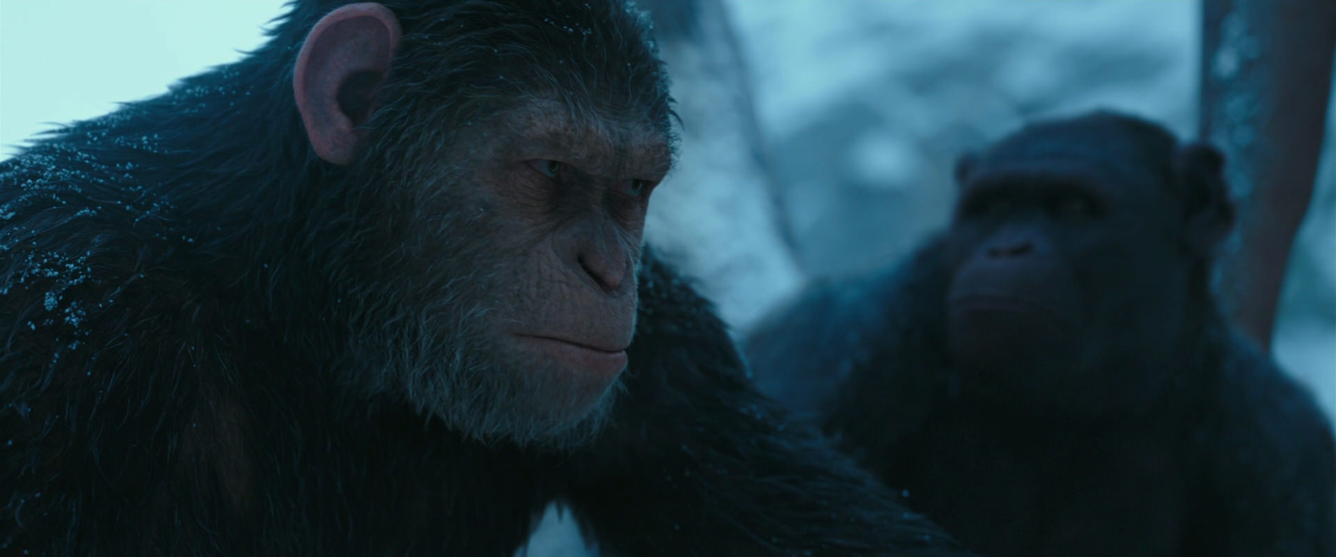 War for the Planet of the Apes (2017) HD screenshot 6860