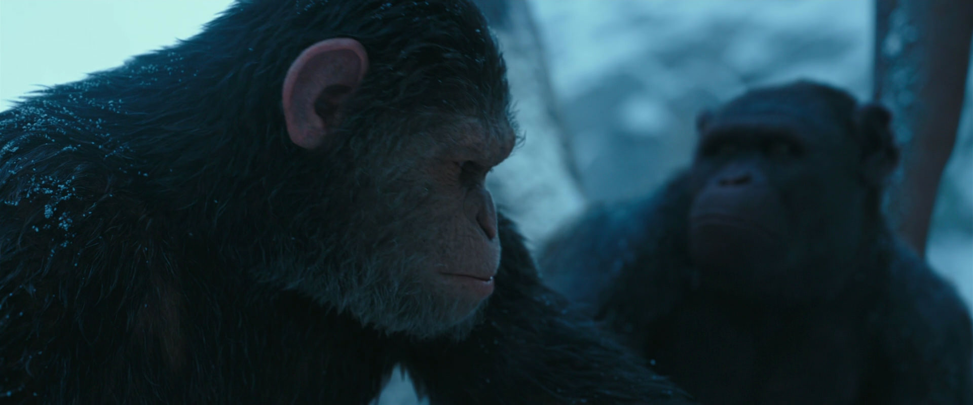 War for the Planet of the Apes (2017) screencap 6861