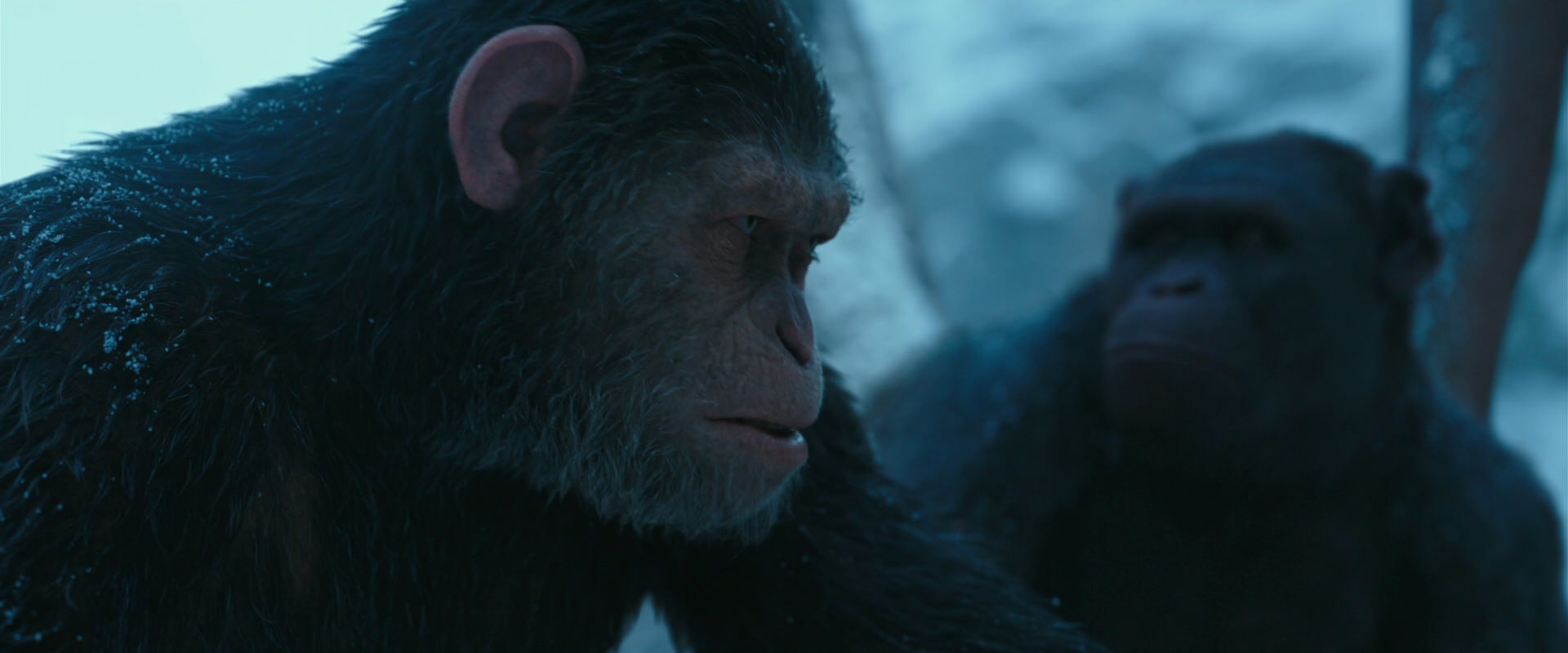 War for the Planet of the Apes (2017) movie still 6862