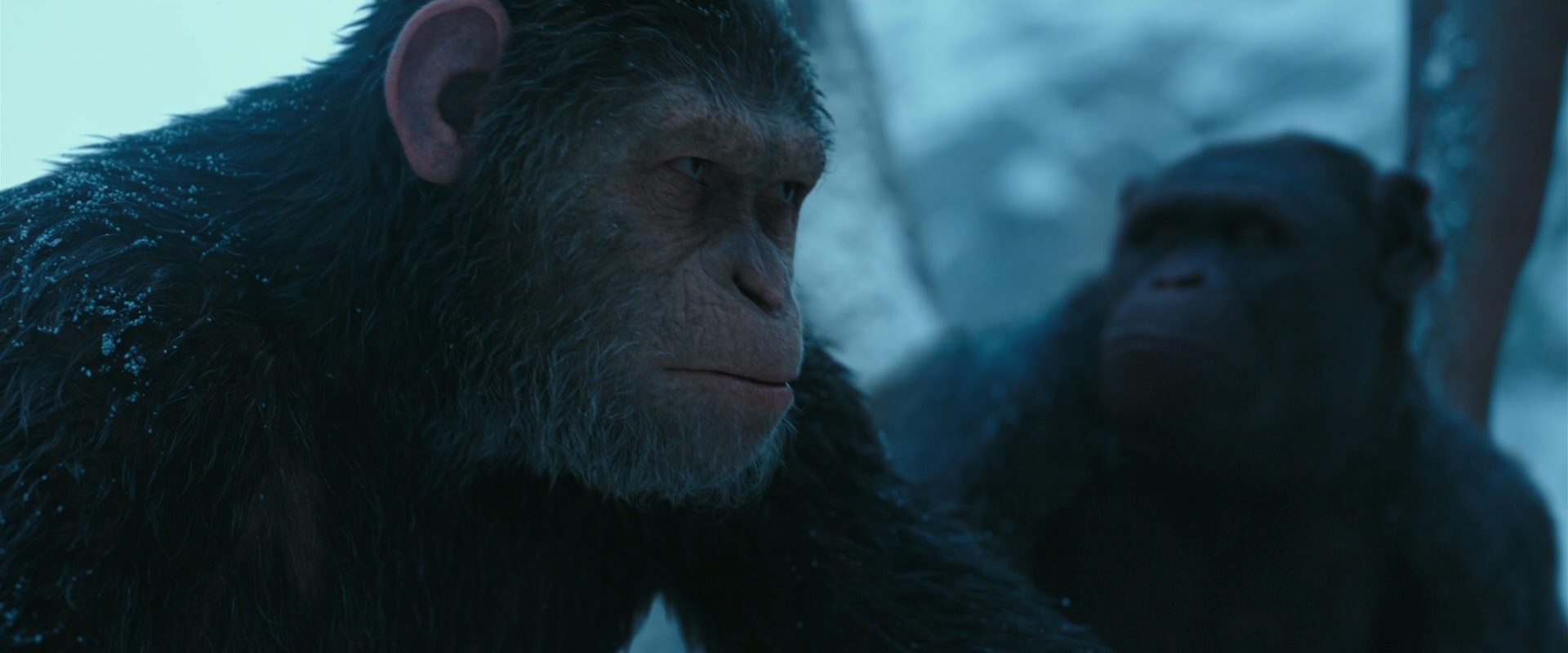 War for the Planet of the Apes (2017) HD screenshot 6863