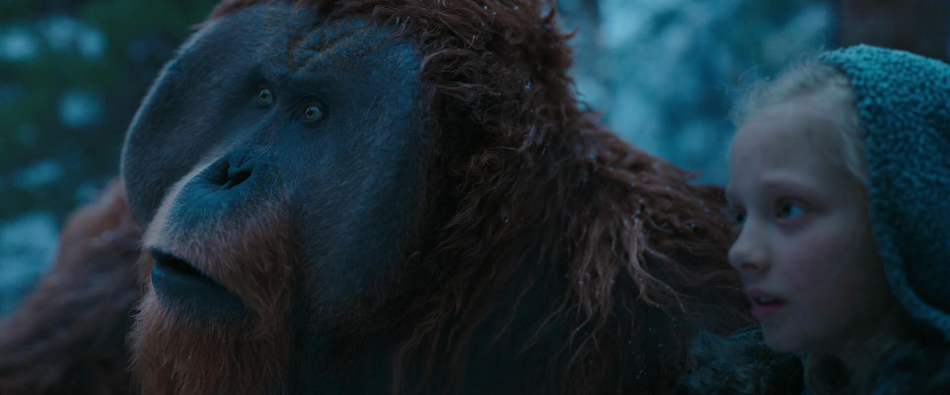 War for the Planet of the Apes (2017) movie still 6865