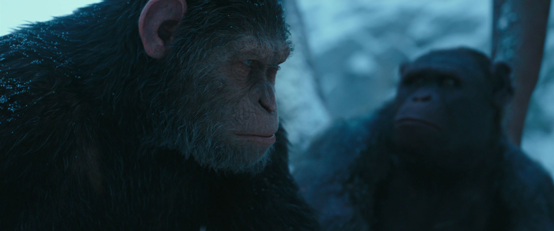 War for the Planet of the Apes (2017) screencap 6867