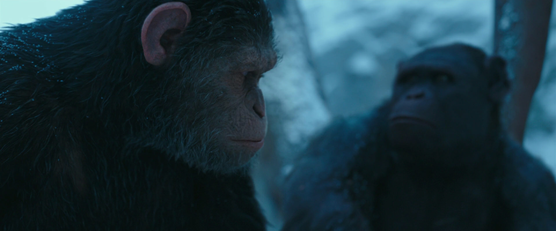 War for the Planet of the Apes (2017) movie still 6868