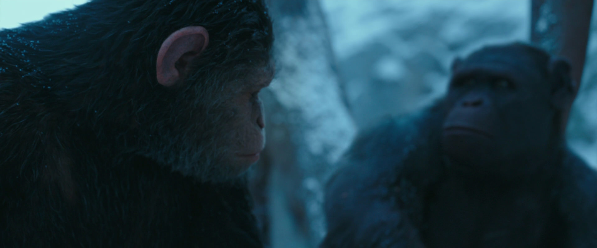 War for the Planet of the Apes (2017) HD screenshot 6869