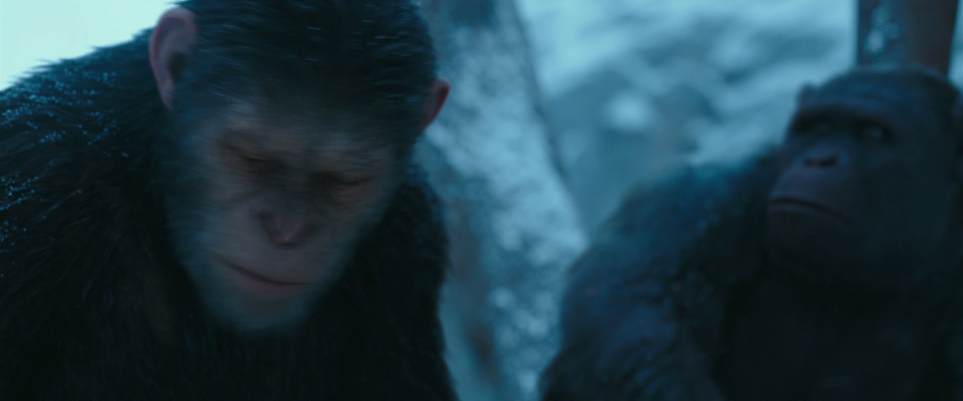 War for the Planet of the Apes (2017) screencap 6870