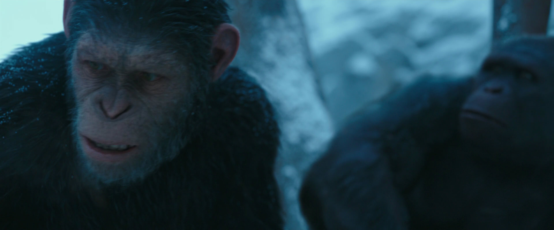 War for the Planet of the Apes (2017) movie still 6871