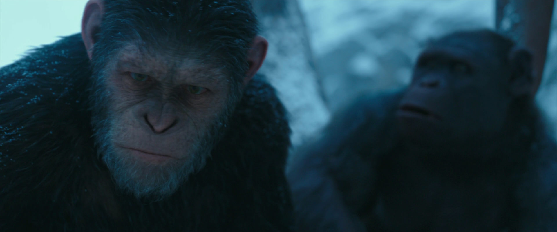 War for the Planet of the Apes (2017) HD screenshot 6872