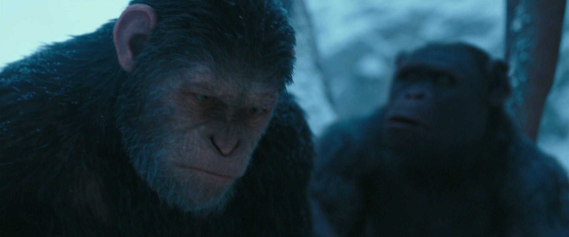 War for the Planet of the Apes (2017) screencap 6873