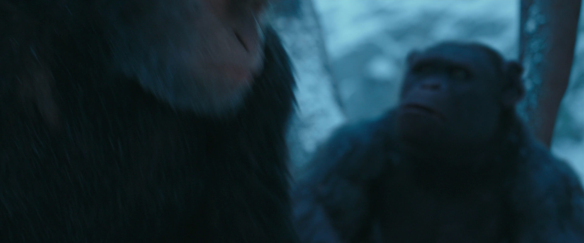 War for the Planet of the Apes (2017) movie still 6874