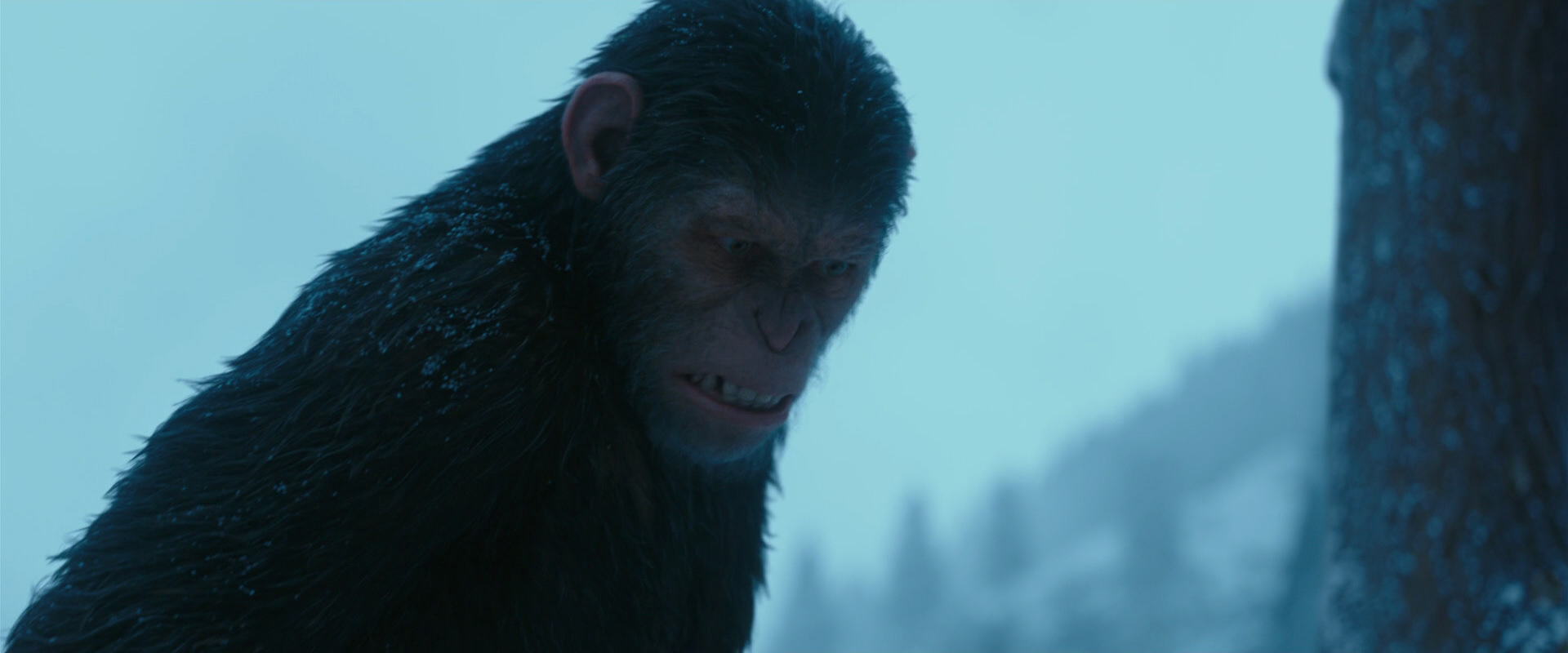 War for the Planet of the Apes (2017) screencap 6879