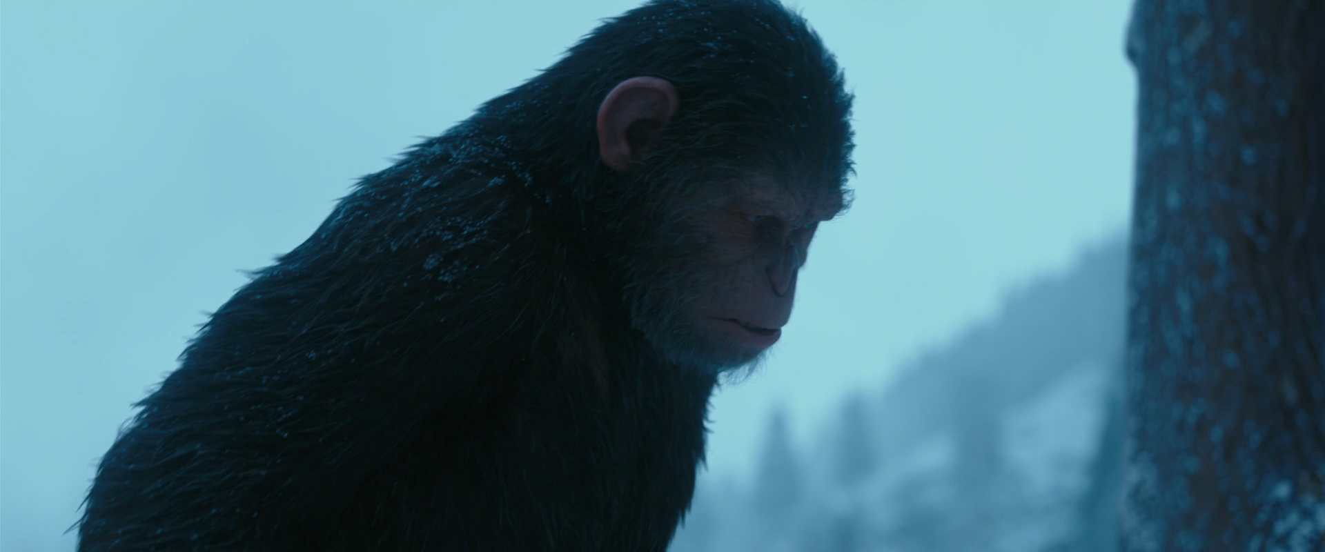 War for the Planet of the Apes (2017) movie still 6880