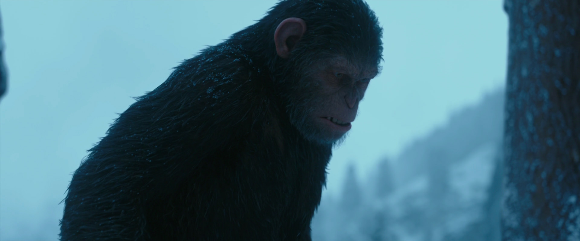 War for the Planet of the Apes (2017) HD screenshot 6881