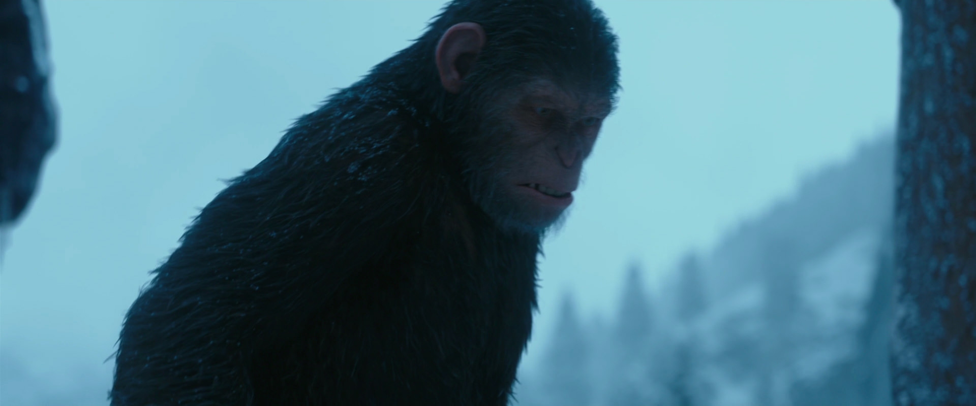 War for the Planet of the Apes (2017) screencap 6882
