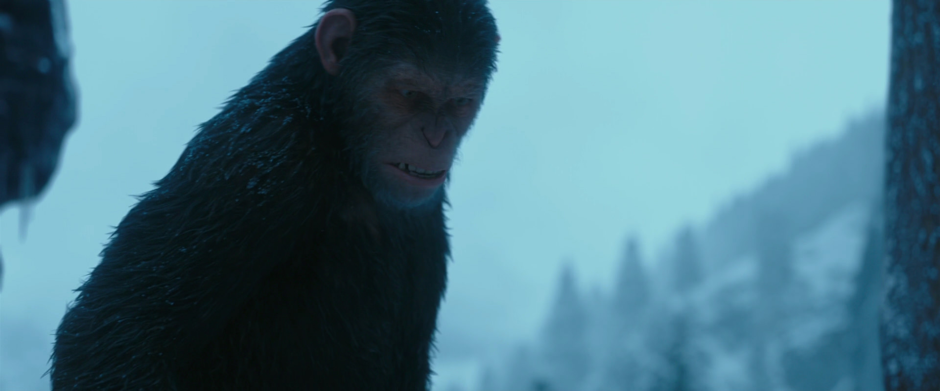 War for the Planet of the Apes (2017) movie still 6883