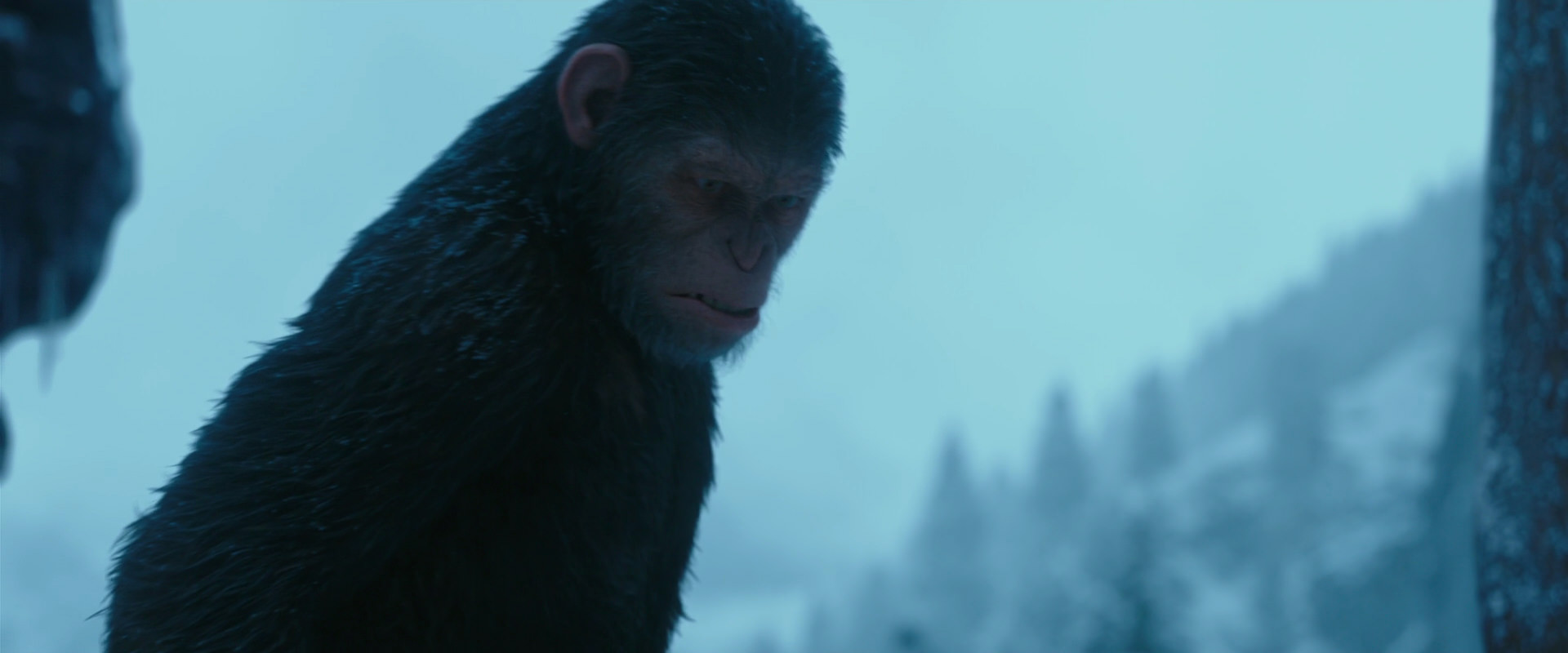 War for the Planet of the Apes (2017) HD screenshot 6884